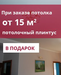 Потолочный плинтус в подарок