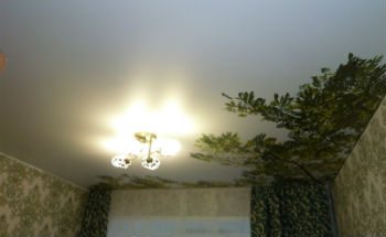 Натяжные потолки с фотопечатью